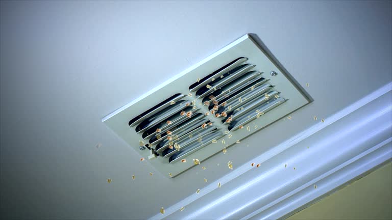 Best Air Duct Cleaning Near Me  in St Charles, IL