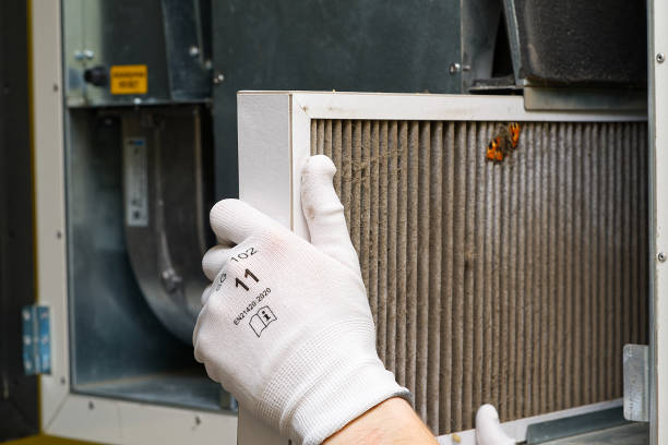 Best Residential Air Duct Cleaning  in St Charles, IL